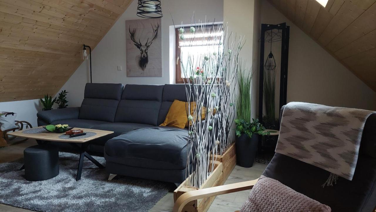 Apartman Pod Smrcinou Vaclavov u Bruntalu Экстерьер фото