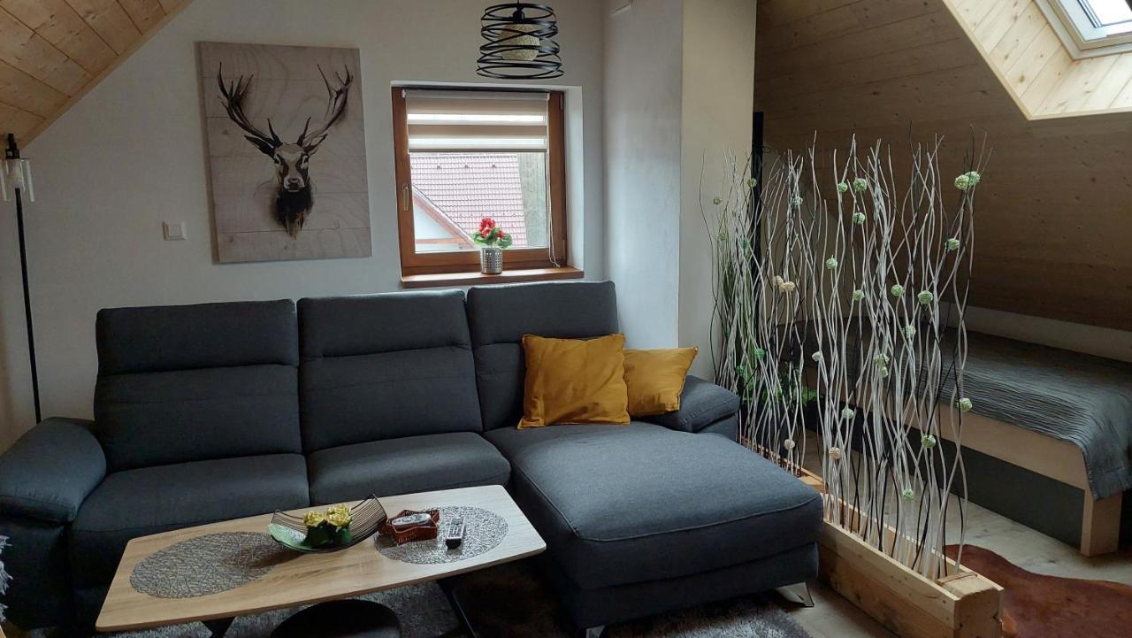 Apartman Pod Smrcinou Vaclavov u Bruntalu Экстерьер фото